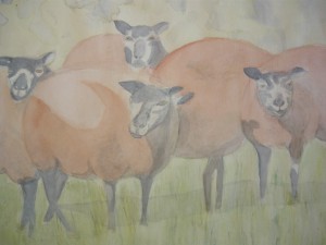 Denise schapen (2)